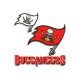 Tampa Bay Buccaneers embroidery design