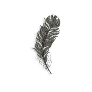 Feather Embroidery design