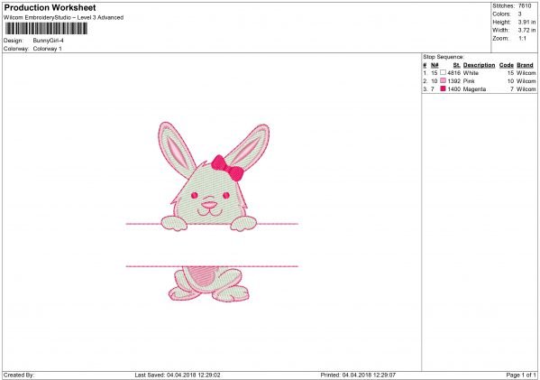 Rabbit Bunny Frame Embroidery design